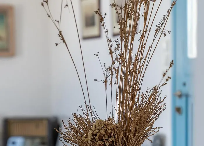 Psili Ammos Holiday home *